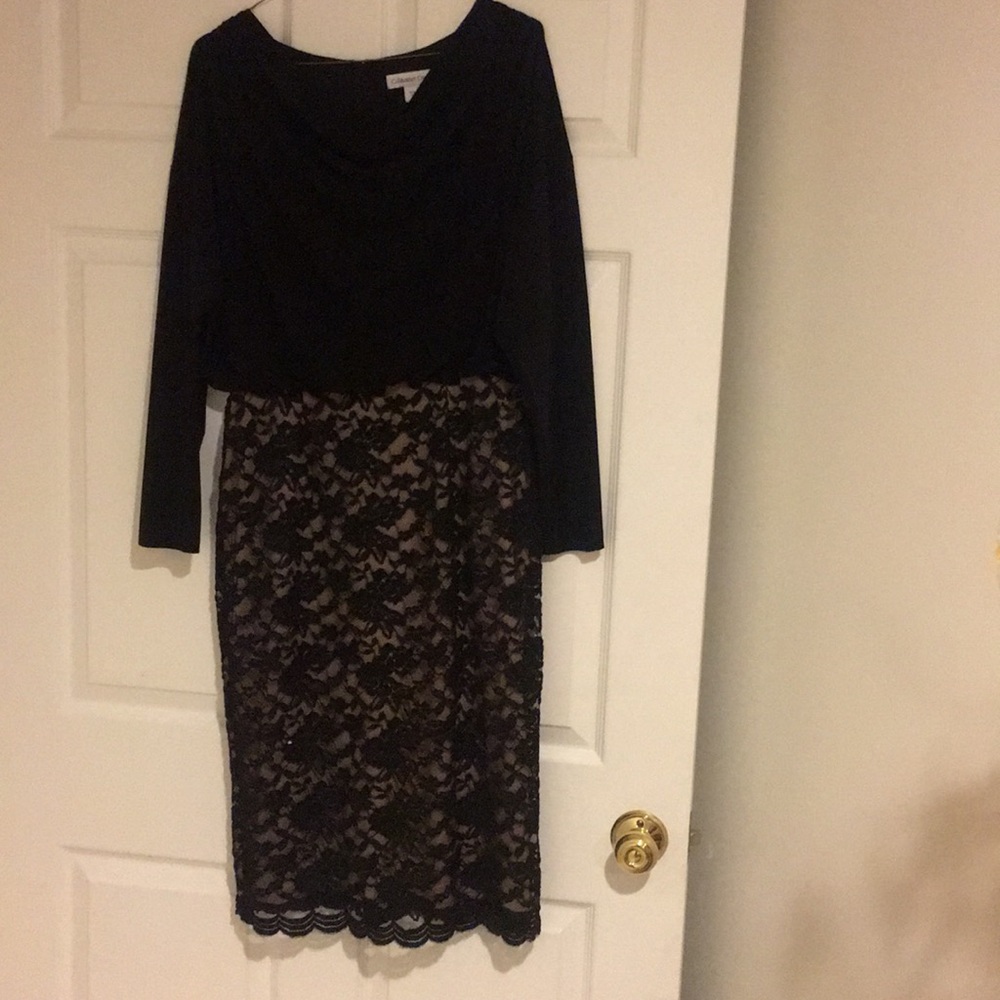 Coldwater Creek Blouson Lace Dress.